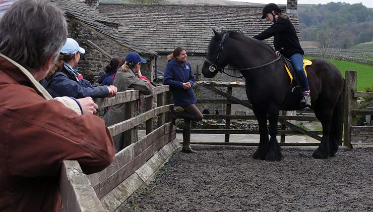 Clinic in Yorkshire Dales, UK